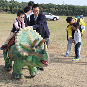 兒童游樂設備已占據游樂行業半邊天