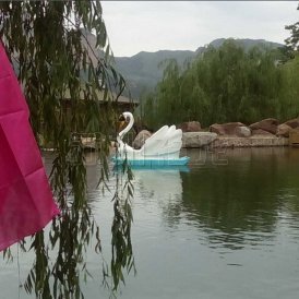 河北武安腳踏船